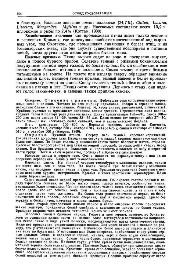 Коллектив авторов - Птицы Советского Союза. Том 4 - Страница № 245 Коллектив авторов - Птицы Советского Союза. Том 4 - Страница № 245
