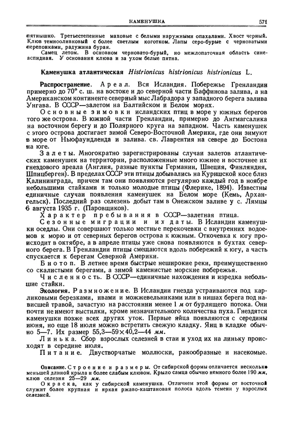 Коллектив авторов - Птицы Советского Союза. Том 4 - Страница № 246 Коллектив авторов - Птицы Советского Союза. Том 4 - Страница № 246