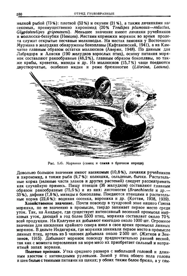 Коллектив авторов - Птицы Советского Союза. Том 4 - Страница № 255 Коллектив авторов - Птицы Советского Союза. Том 4 - Страница № 255