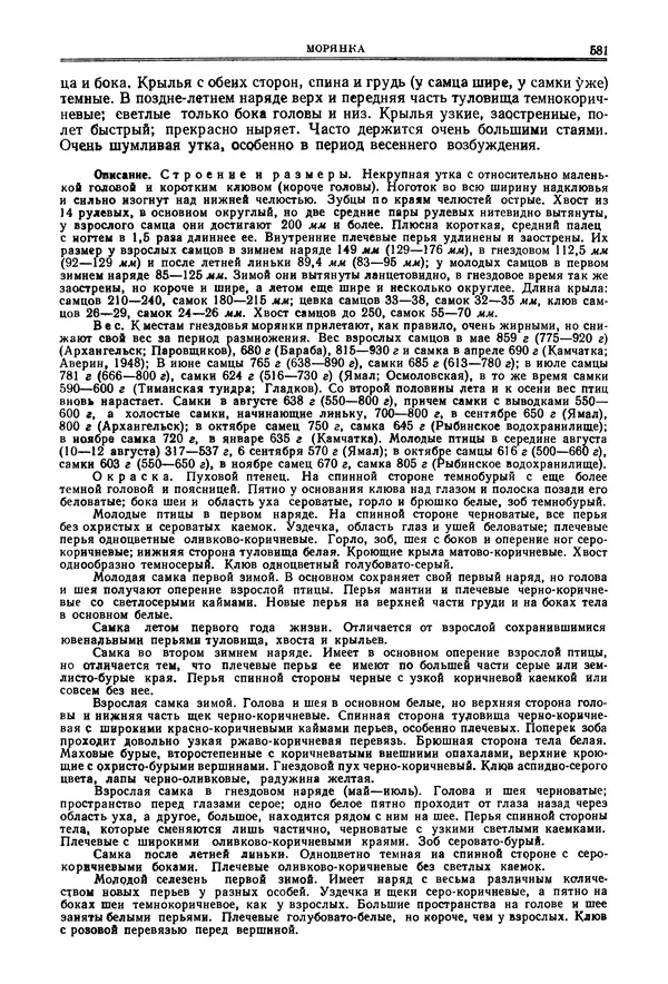 Коллектив авторов - Птицы Советского Союза. Том 4 - Страница № 256 Коллектив авторов - Птицы Советского Союза. Том 4 - Страница № 256
