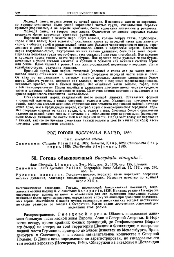 Коллектив авторов - Птицы Советского Союза. Том 4 - Страница № 257 Коллектив авторов - Птицы Советского Союза. Том 4 - Страница № 257