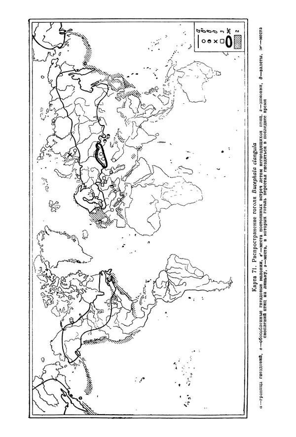 Коллектив авторов - Птицы Советского Союза. Том 4 - Страница № 258 Коллектив авторов - Птицы Советского Союза. Том 4 - Страница № 258