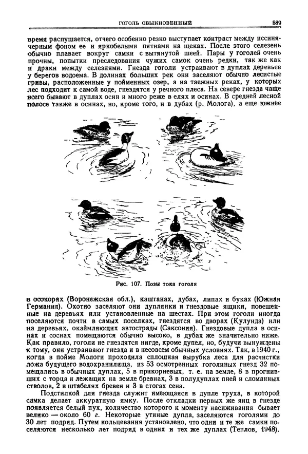 Коллектив авторов - Птицы Советского Союза. Том 4 - Страница № 264 Коллектив авторов - Птицы Советского Союза. Том 4 - Страница № 264