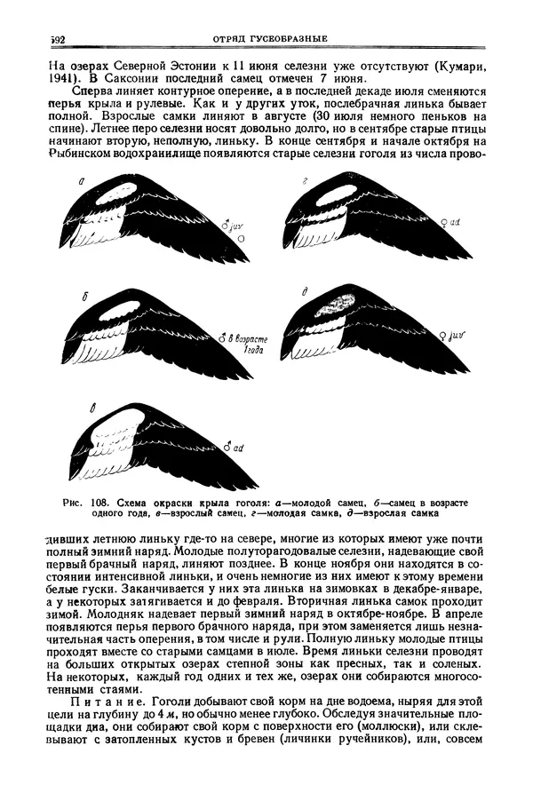 Коллектив авторов - Птицы Советского Союза. Том 4 - Страница № 267 Коллектив авторов - Птицы Советского Союза. Том 4 - Страница № 267