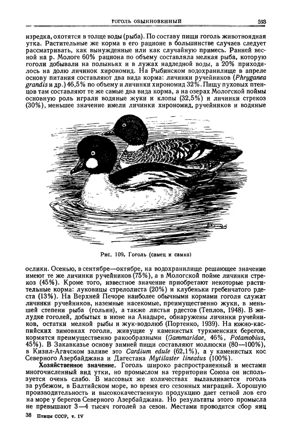Коллектив авторов - Птицы Советского Союза. Том 4 - Страница № 268 Коллектив авторов - Птицы Советского Союза. Том 4 - Страница № 268
