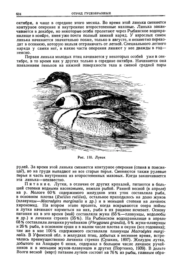 Коллектив авторов - Птицы Советского Союза. Том 4 - Страница № 279 Коллектив авторов - Птицы Советского Союза. Том 4 - Страница № 279