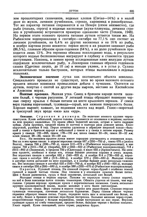 Коллектив авторов - Птицы Советского Союза. Том 4 - Страница № 280 Коллектив авторов - Птицы Советского Союза. Том 4 - Страница № 280