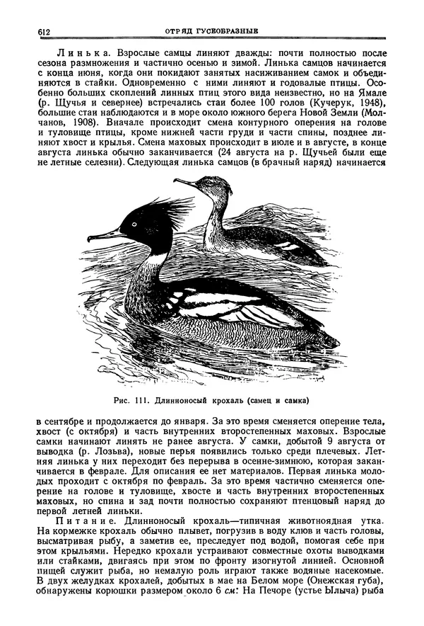 Коллектив авторов - Птицы Советского Союза. Том 4 - Страница № 287 Коллектив авторов - Птицы Советского Союза. Том 4 - Страница № 287