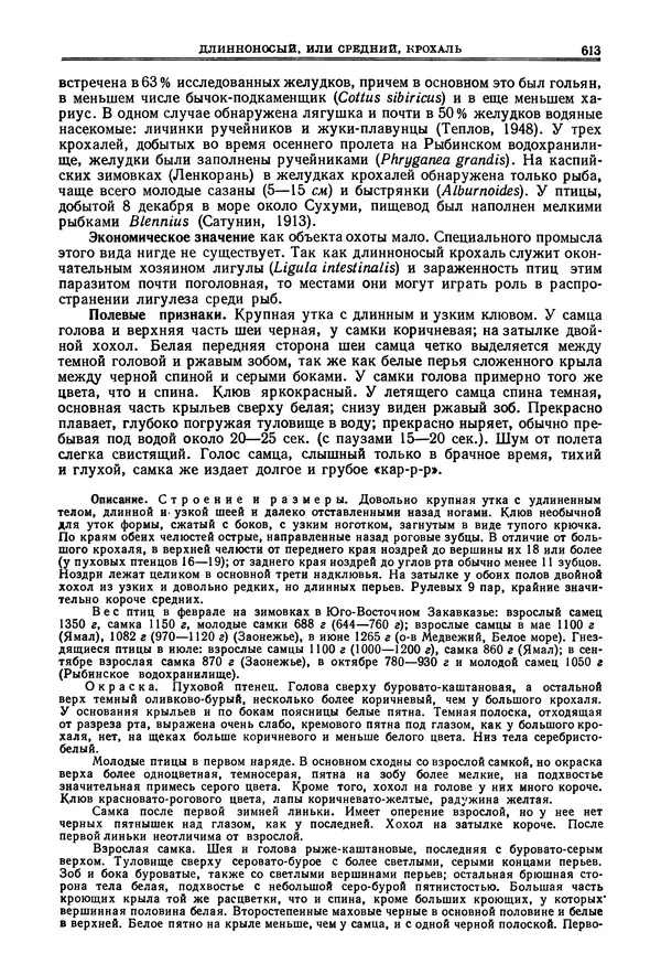 Коллектив авторов - Птицы Советского Союза. Том 4 - Страница № 288 Коллектив авторов - Птицы Советского Союза. Том 4 - Страница № 288