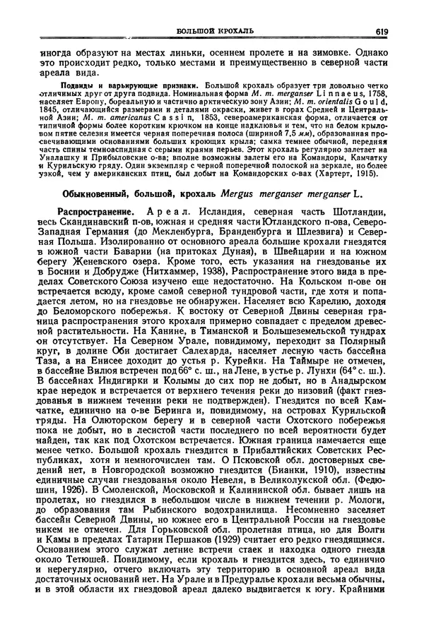 Коллектив авторов - Птицы Советского Союза. Том 4 - Страница № 294 Коллектив авторов - Птицы Советского Союза. Том 4 - Страница № 294