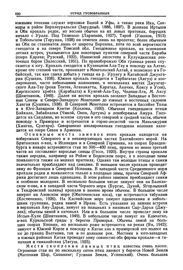 Коллектив авторов - Птицы Советского Союза. Том 4 - Страница № 295 Коллектив авторов - Птицы Советского Союза. Том 4 - Страница № 295