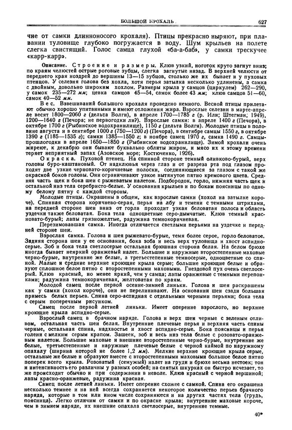 Коллектив авторов - Птицы Советского Союза. Том 4 - Страница № 302 Коллектив авторов - Птицы Советского Союза. Том 4 - Страница № 302