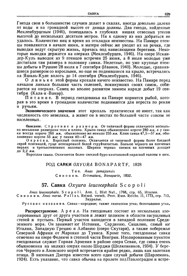 Коллектив авторов - Птицы Советского Союза. Том 4 - Страница № 304 Коллектив авторов - Птицы Советского Союза. Том 4 - Страница № 304