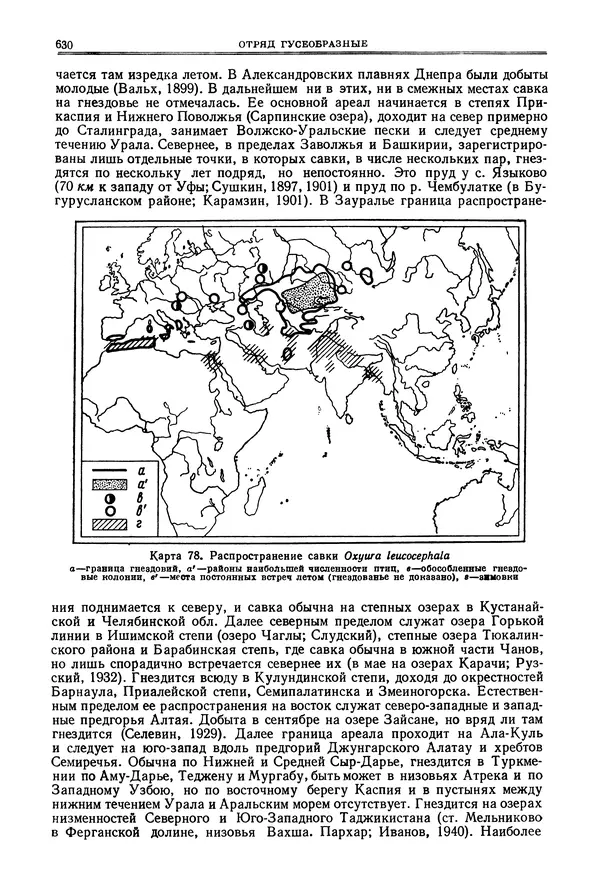 Коллектив авторов - Птицы Советского Союза. Том 4 - Страница № 305 Коллектив авторов - Птицы Советского Союза. Том 4 - Страница № 305