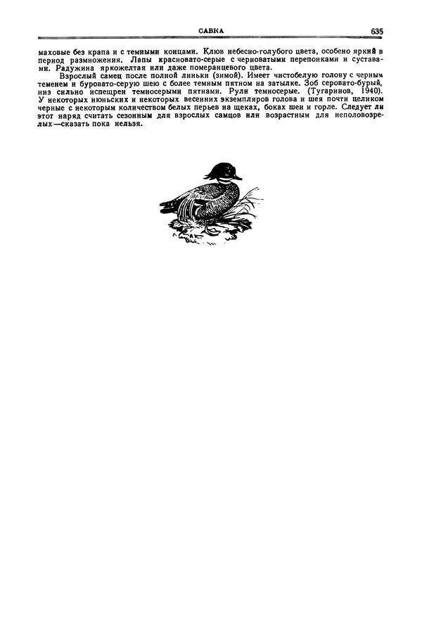 Коллектив авторов - Птицы Советского Союза. Том 4 - Страница № 310 Коллектив авторов - Птицы Советского Союза. Том 4 - Страница № 310