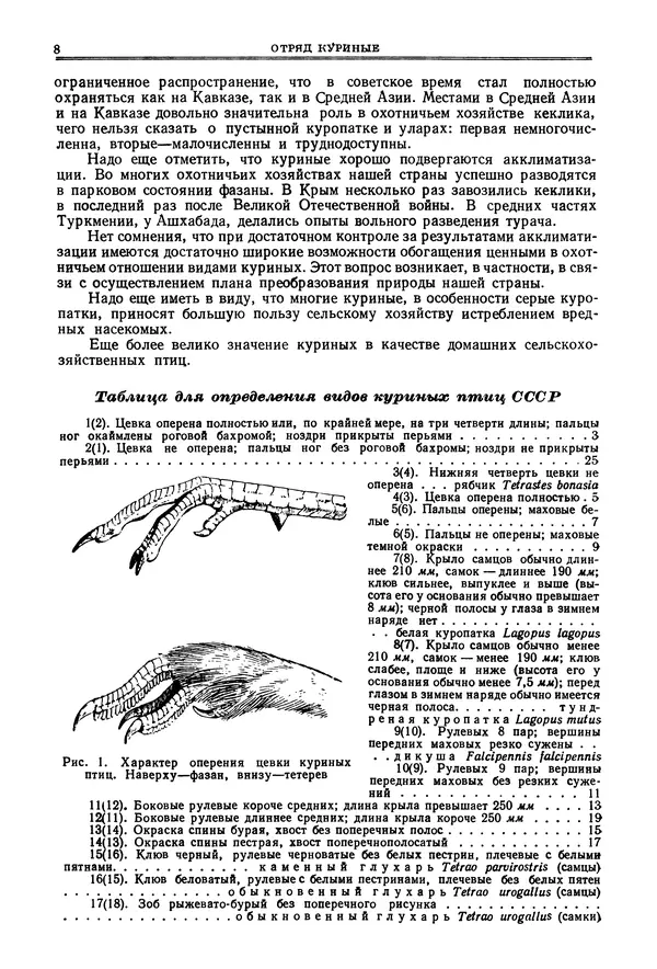 Коллектив авторов - Птицы Советского Союза. Том 4 - Страница № 8 Коллектив авторов - Птицы Советского Союза. Том 4 - Страница № 8