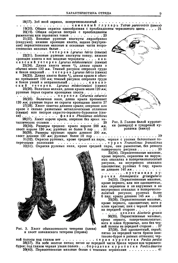 Коллектив авторов - Птицы Советского Союза. Том 4 - Страница № 9 Коллектив авторов - Птицы Советского Союза. Том 4 - Страница № 9