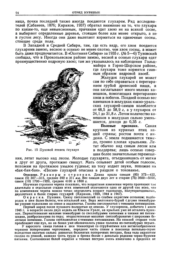 Коллектив авторов - Птицы Советского Союза. Том 4 - Страница № 94 Коллектив авторов - Птицы Советского Союза. Том 4 - Страница № 94