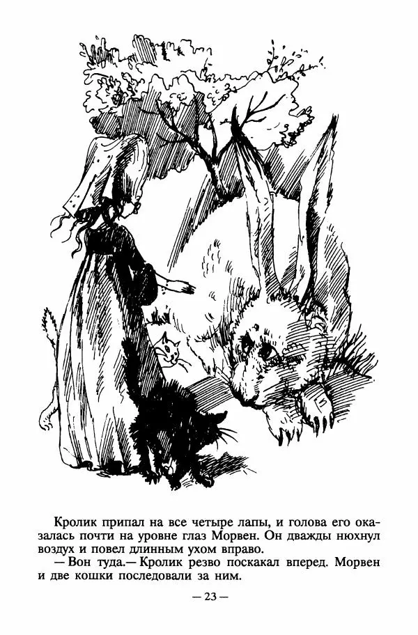 Патриция Рэде - Заклятие дракона - Страница № 26