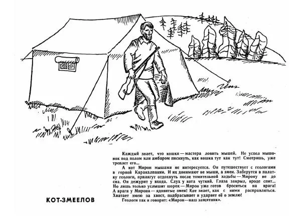  - Невыдуманные истории - Страница № 8