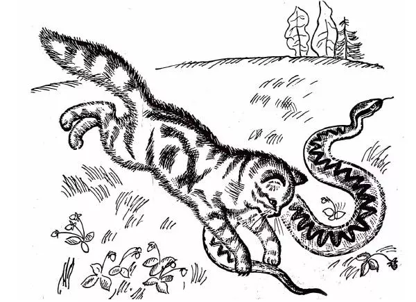  - Невыдуманные истории - Страница № 9