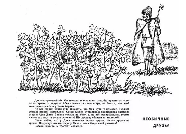  - Невыдуманные истории - Страница № 11