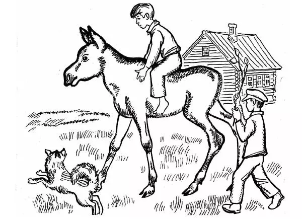  - Невыдуманные истории - Страница № 13