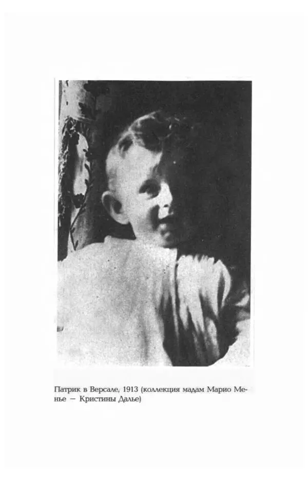 Фредерика Блейер - Айседора: Портрет женщины и актрисы - Страница № 425