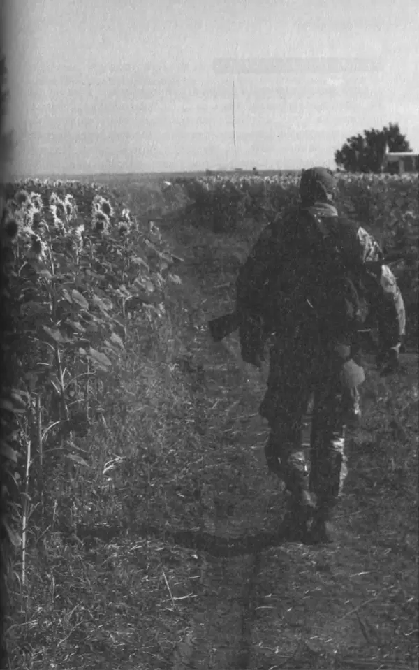 Сергій Лойко - Аеропорт - Страница № 151