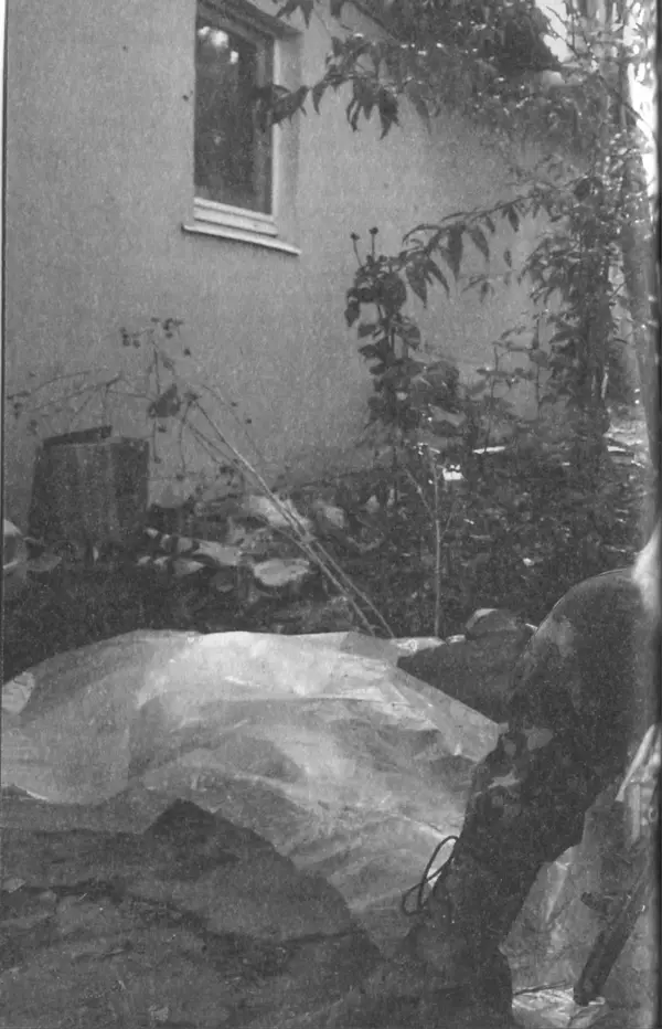 Сергій Лойко - Аеропорт - Страница № 218