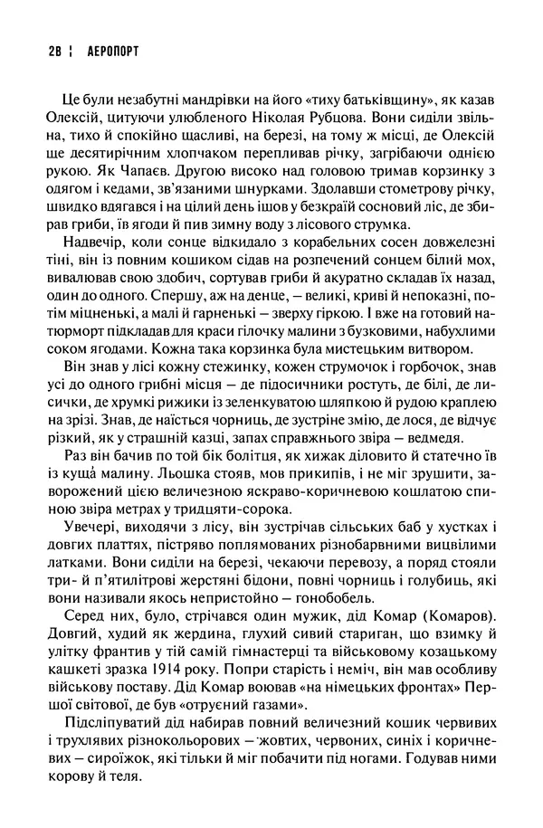 Сергій Лойко - Аеропорт - Страница № 30