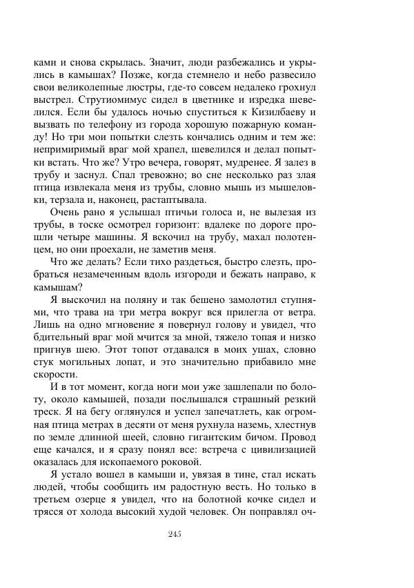 Георгий Гуревич - Инфра Дракона - Страница № 245