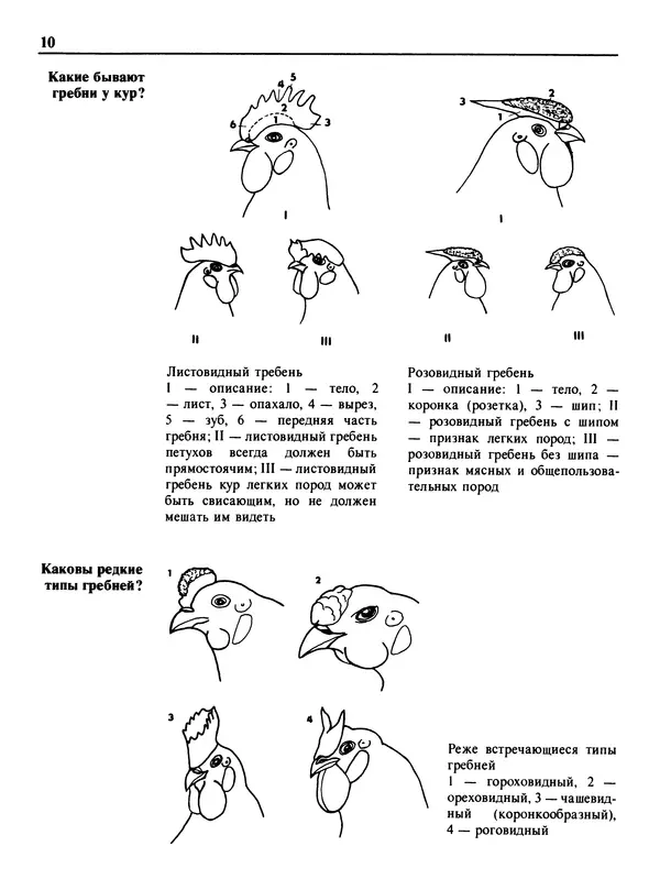 Малик В. - 1000 советов животноводам-любителям - Страница № 11