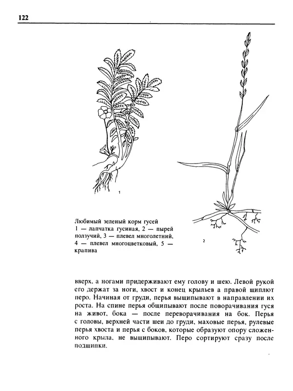 Малик В. - 1000 советов животноводам-любителям - Страница № 123