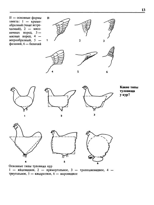 Малик В. - 1000 советов животноводам-любителям - Страница № 14
