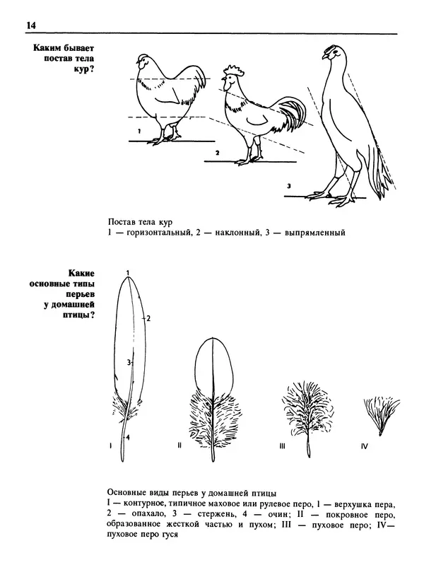 Малик В. - 1000 советов животноводам-любителям - Страница № 15