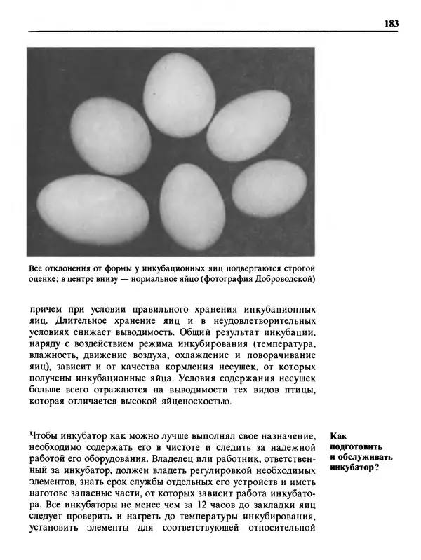 Малик В. - 1000 советов животноводам-любителям - Страница № 184