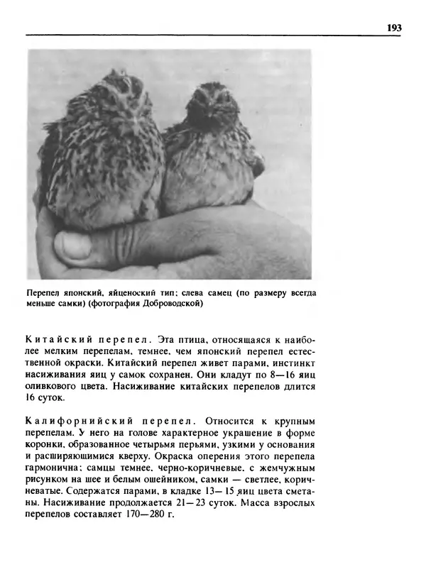 Малик В. - 1000 советов животноводам-любителям - Страница № 194