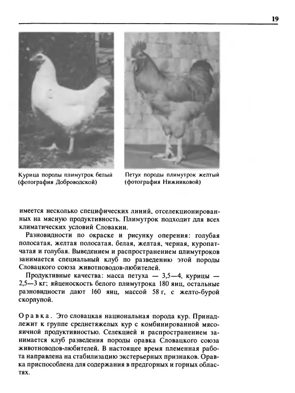 Малик В. - 1000 советов животноводам-любителям - Страница № 20