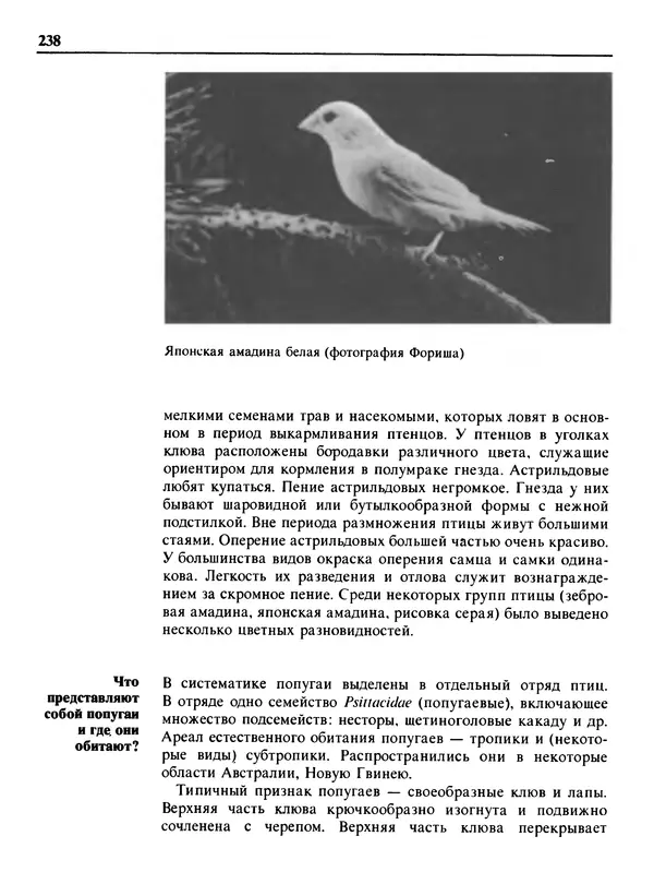 Малик В. - 1000 советов животноводам-любителям - Страница № 239