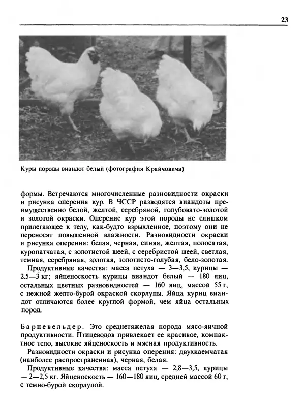 Малик В. - 1000 советов животноводам-любителям - Страница № 24