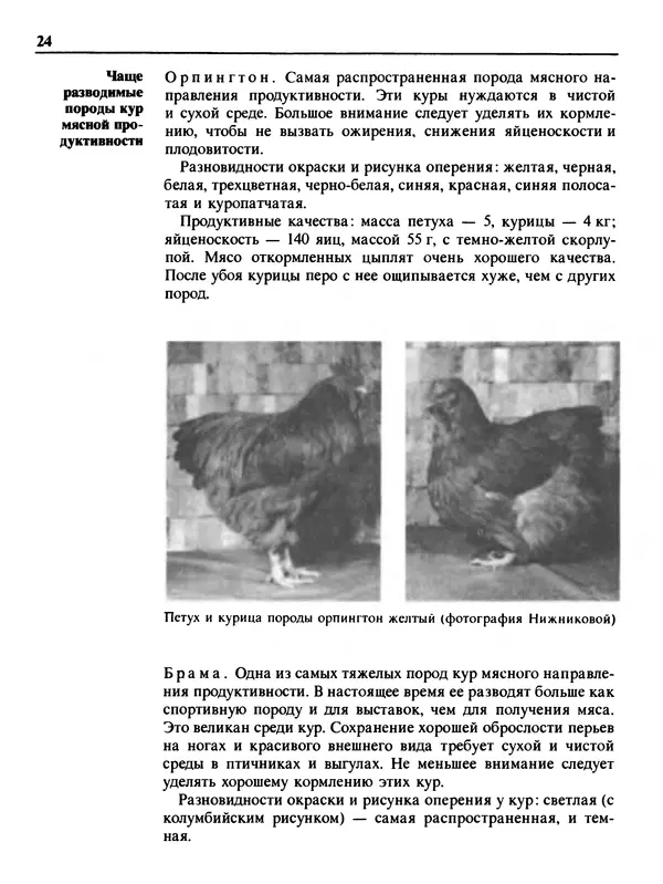 Малик В. - 1000 советов животноводам-любителям - Страница № 25