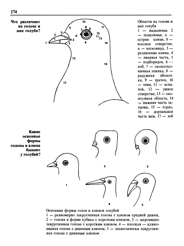 Малик В. - 1000 советов животноводам-любителям - Страница № 275