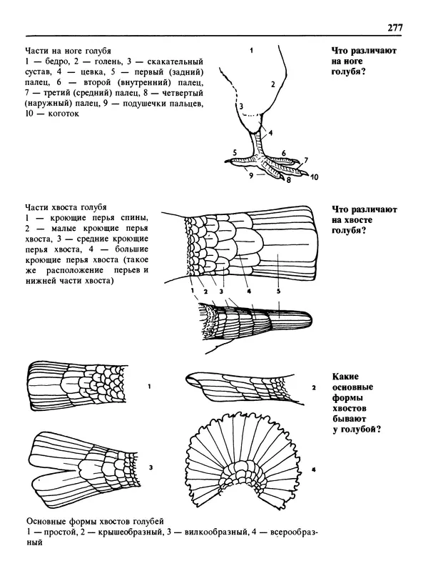 Малик В. - 1000 советов животноводам-любителям - Страница № 278