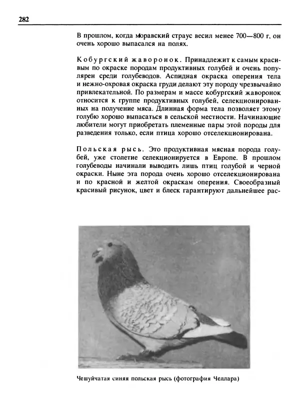 Малик В. - 1000 советов животноводам-любителям - Страница № 283