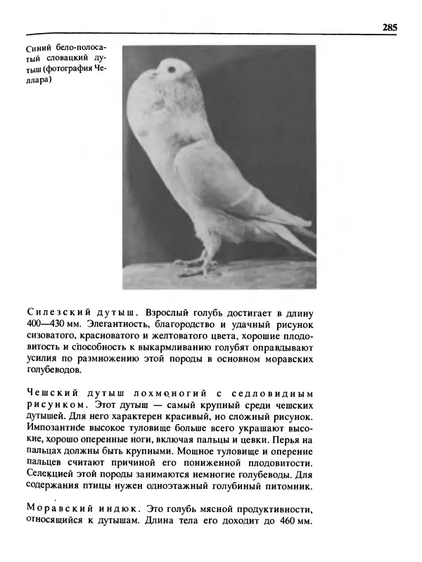 Малик В. - 1000 советов животноводам-любителям - Страница № 286