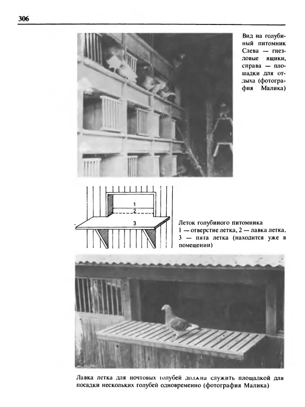Малик В. - 1000 советов животноводам-любителям - Страница № 307