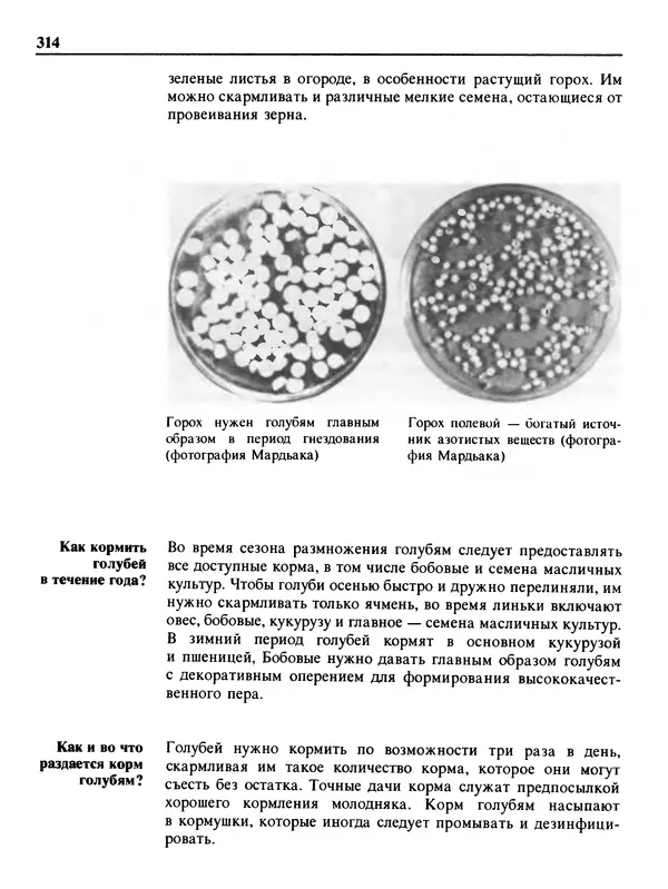 Малик В. - 1000 советов животноводам-любителям - Страница № 315