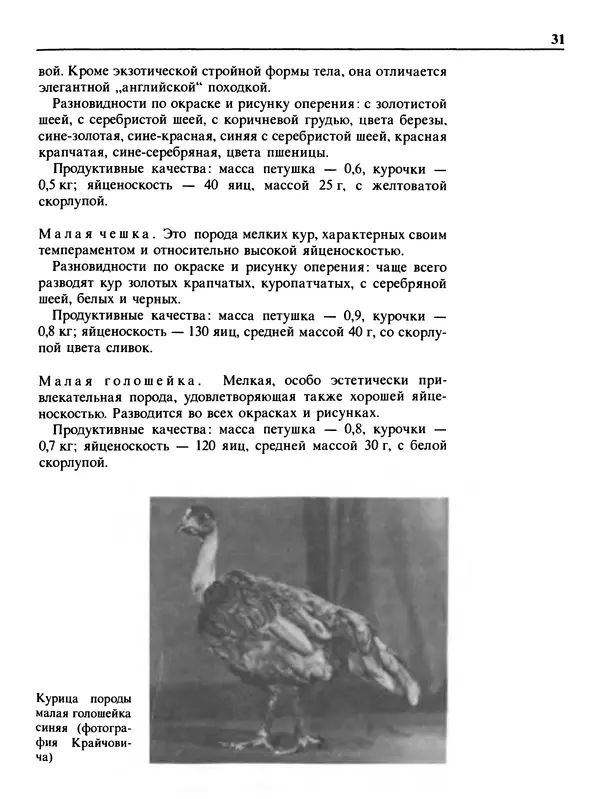 Малик В. - 1000 советов животноводам-любителям - Страница № 32