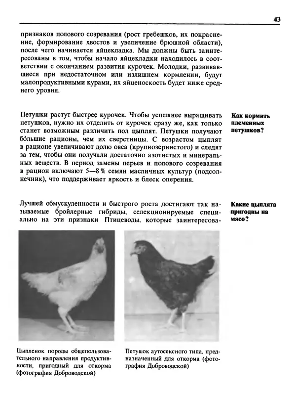 Малик В. - 1000 советов животноводам-любителям - Страница № 44